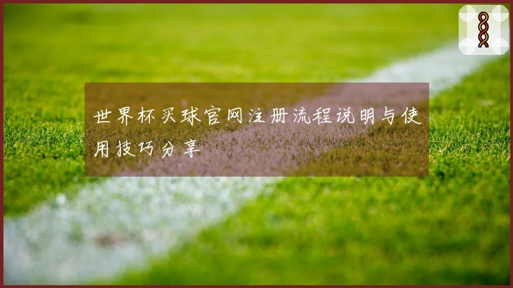 世界杯买球官网注册流程说明与使用技巧分享