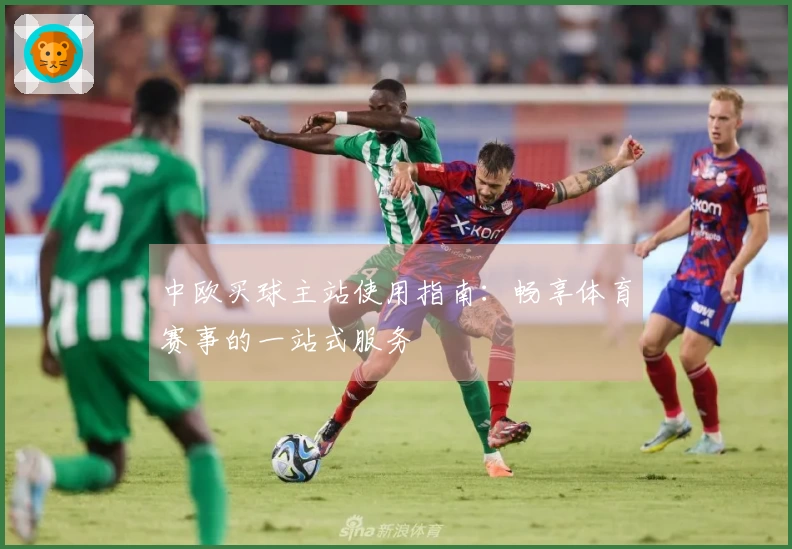 中欧买球主站使用指南：畅享体育赛事的一站式服务