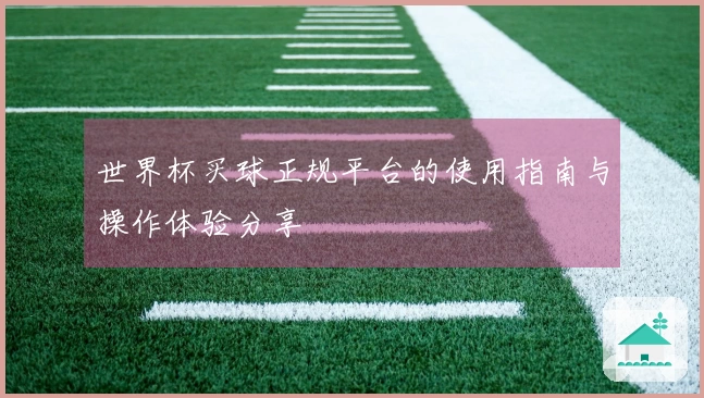 世界杯买球正规平台的使用指南与操作体验分享
