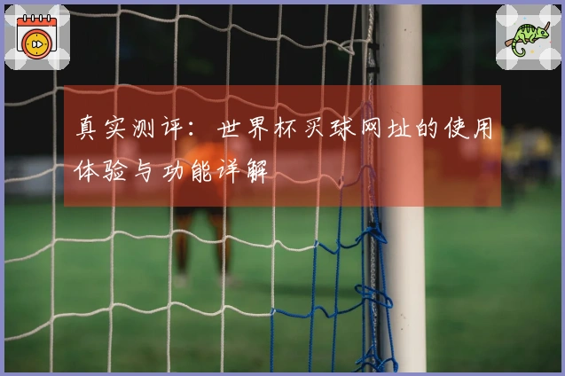 真实测评：世界杯买球网址的使用体验与功能详解