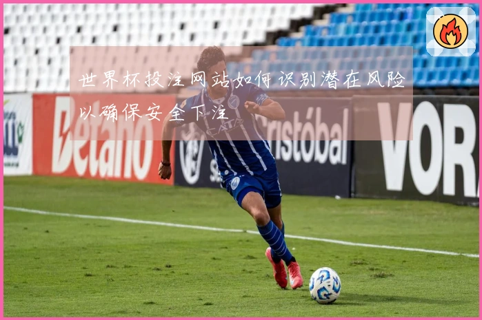 世界杯投注网站如何识别潜在风险以确保安全下注