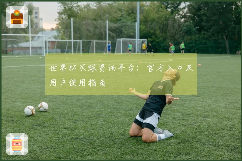 世界杯买球资讯平台：官方入口及用户使用指南