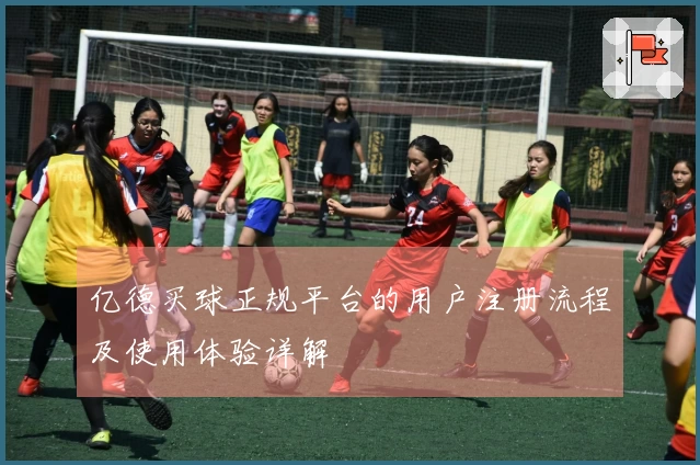 亿德买球正规平台的用户注册流程及使用体验详解