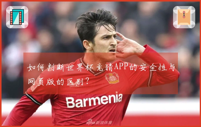 如何判断世界杯竞猜APP的安全性与网页版的区别？