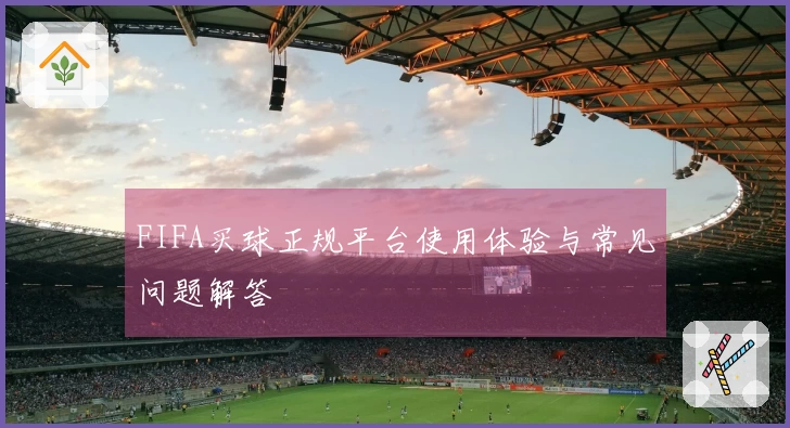 FIFA买球正规平台使用体验与常见问题解答