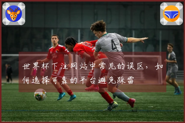 世界杯下注网站中常见的误区，如何选择可靠的平台避免踩雷