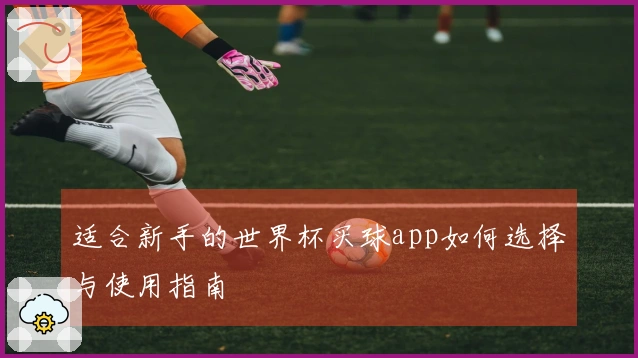 适合新手的世界杯买球app如何选择与使用指南