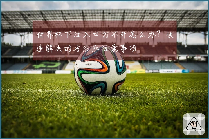 世界杯下注入口打不开怎么办？快速解决的方法和注意事项