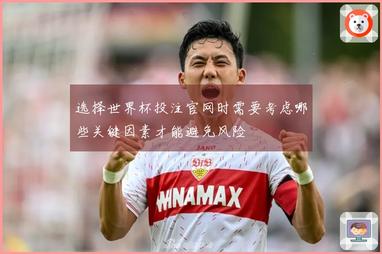 选择世界杯投注官网时需要考虑哪些关键因素才能避免风险