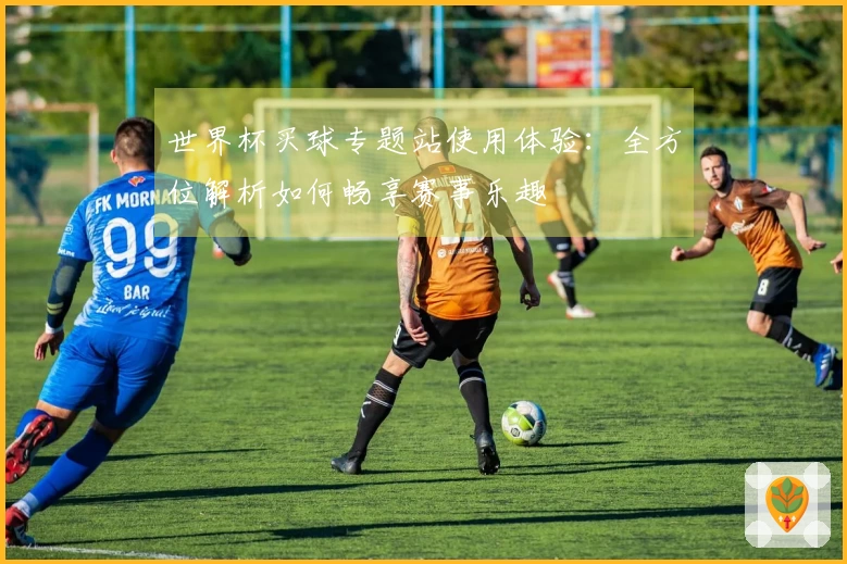 世界杯买球专题站使用体验：全方位解析如何畅享赛事乐趣