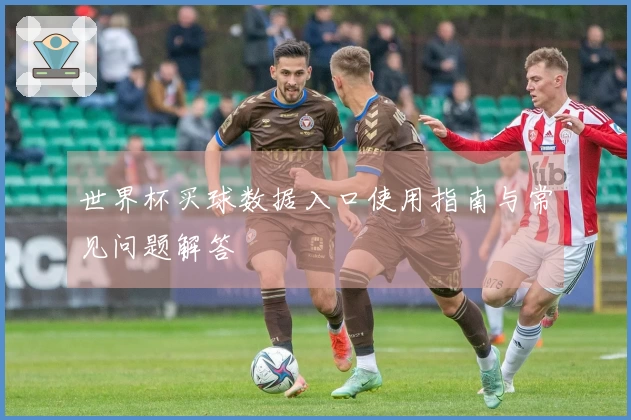 世界杯买球数据入口使用指南与常见问题解答