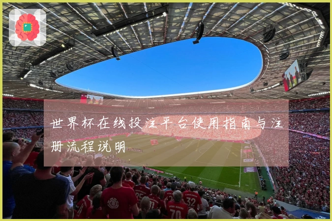 世界杯在线投注平台使用指南与注册流程说明