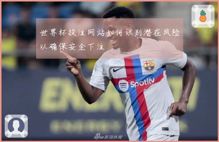 世界杯投注网站如何识别潜在风险以确保安全下注
