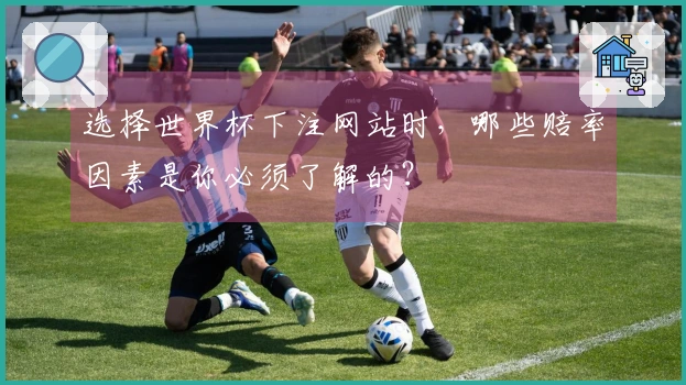 选择世界杯下注网站时，哪些赔率因素是你必须了解的？