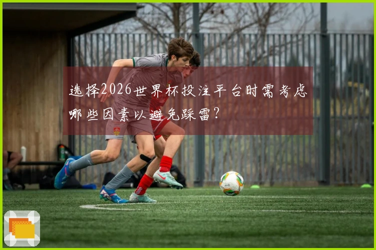 选择2026世界杯投注平台时需考虑哪些因素以避免踩雷？