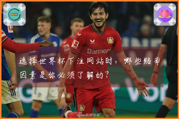 选择世界杯下注网站时，哪些赔率因素是你必须了解的？