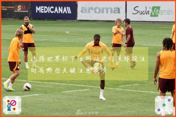选择世界杯下注网站进行滚球投注时有哪些关键注意事项