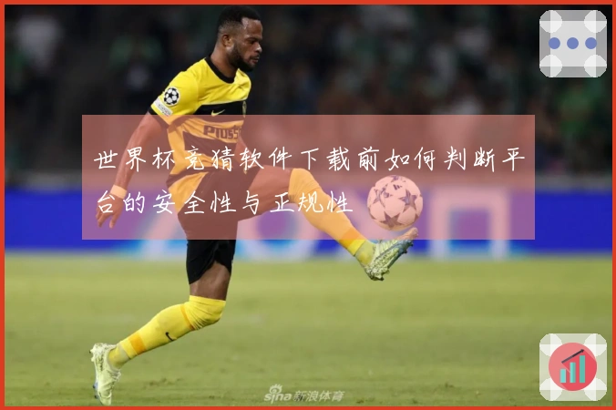 世界杯竞猜软件下载前如何判断平台的安全性与正规性