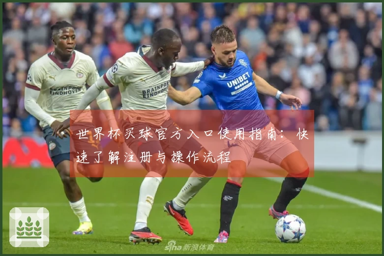 世界杯买球官方入口使用指南：快速了解注册与操作流程